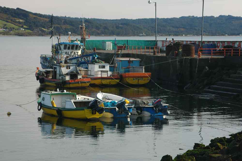 54 - Chile - isla de Chiloe, Ancud, puerto